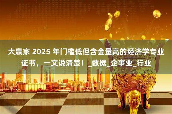 大赢家 2025 年门槛低但含金量高的经济学专业证书，一文说清楚！_数据_企事业_行业