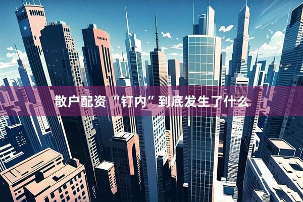 散户配资 “钉内”到底发生了什么