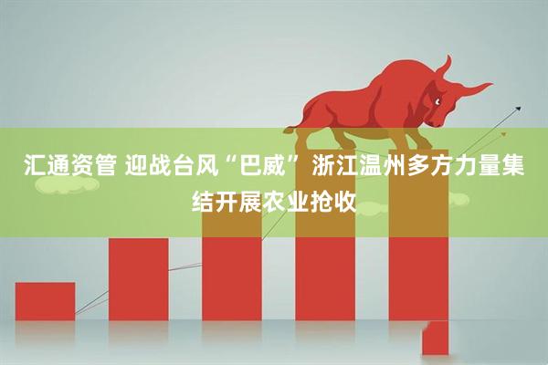 汇通资管 迎战台风“巴威” 浙江温州多方力量集结开展农业抢收