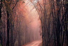 股票买卖软件:手机用股票软件-稀土开采及冶炼分离总量调控办法发布 稀土生产企业应当建立产品流向记录制度